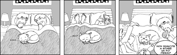 dormire magari