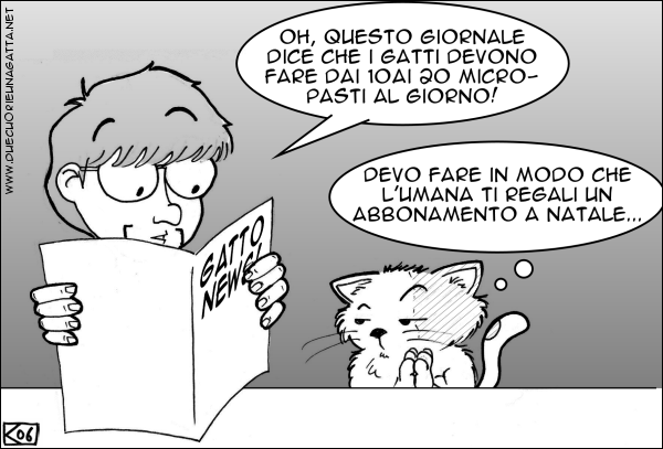15-12-06.png