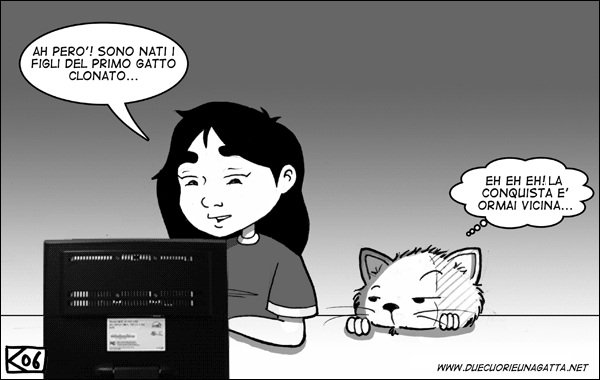 18-12-06.png
