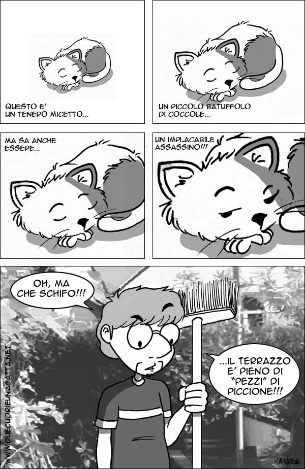 217.jpg