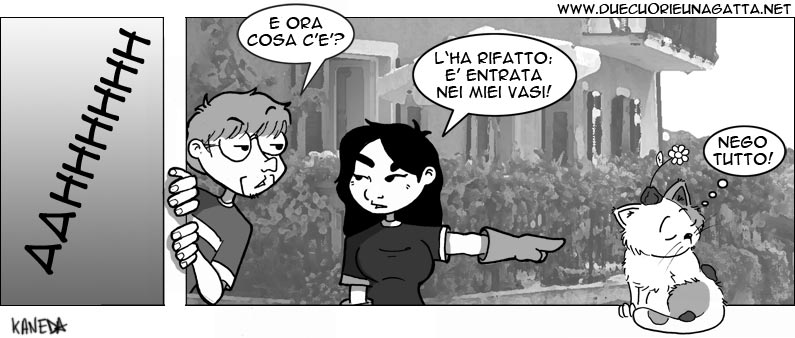 227.jpg