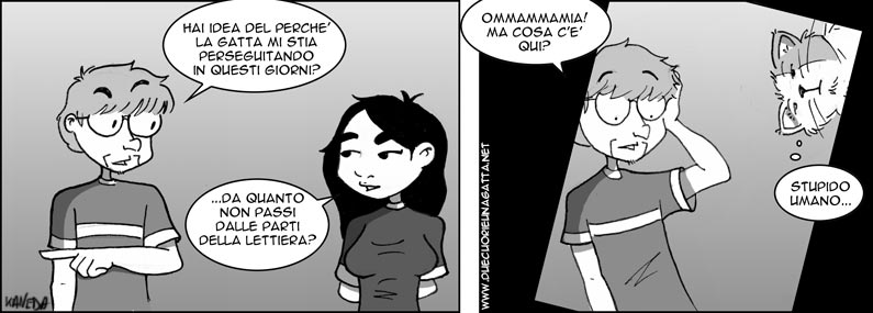 232.jpg