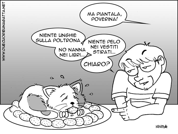 237.jpg