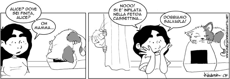 256.jpg