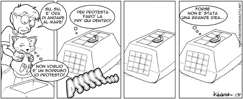 264.jpg