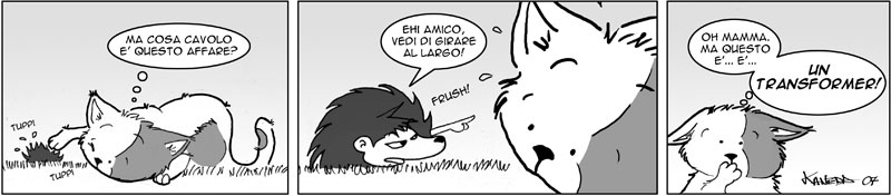 269_due_cuori_una_gatta.jpg