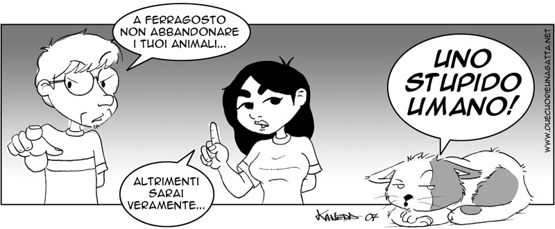 271_due_cuori_una_gatta.jpg