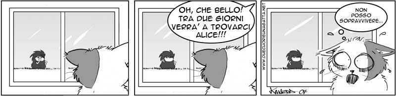 275_due_cuori_una_gatta.jpg