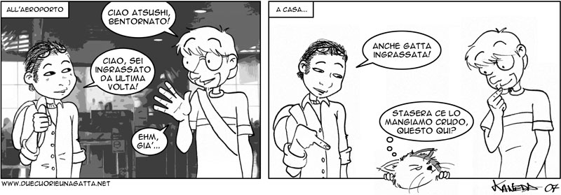 286_due_cuori_una_gatta.jpg