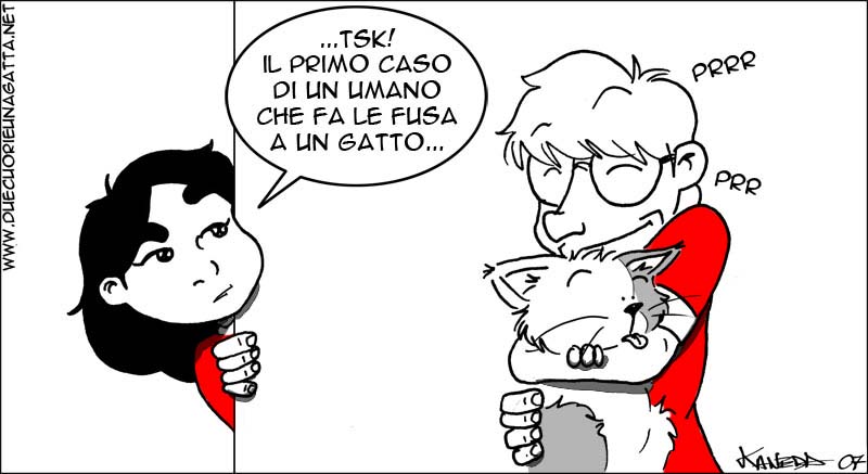 287_due_cuori_una_gatta_birmania.jpg