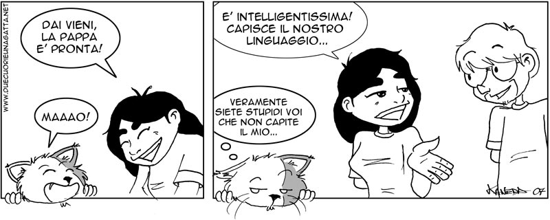 292_due_cuori_una_gatta.jpg