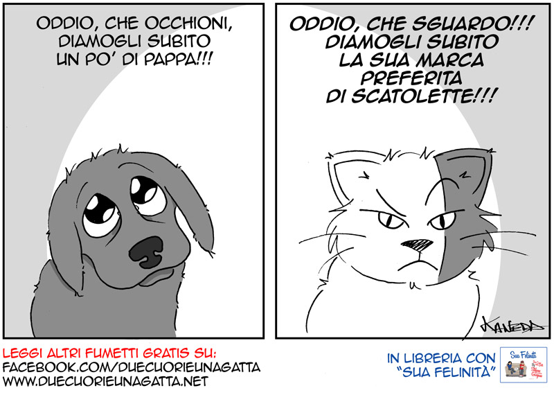888_due_cuori_una_gatta Che sguardo